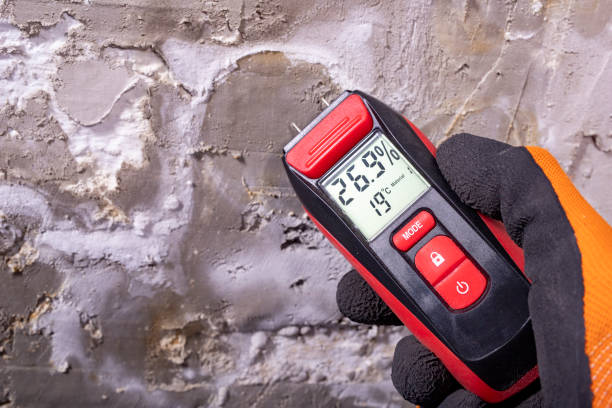 Office Mold Removal Services in Talahi Island, GA