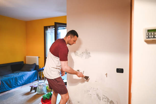 Best Certified Mold Removal  in Talahi Island, GA